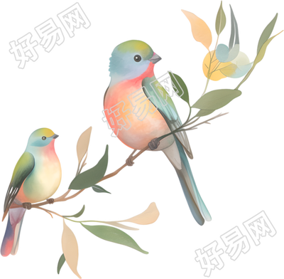 水彩鸟简约插图