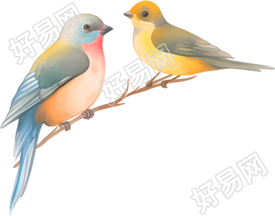 水彩鸟唯美插图