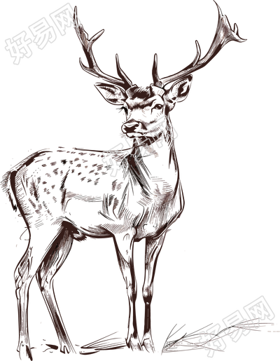麋鹿素描素材