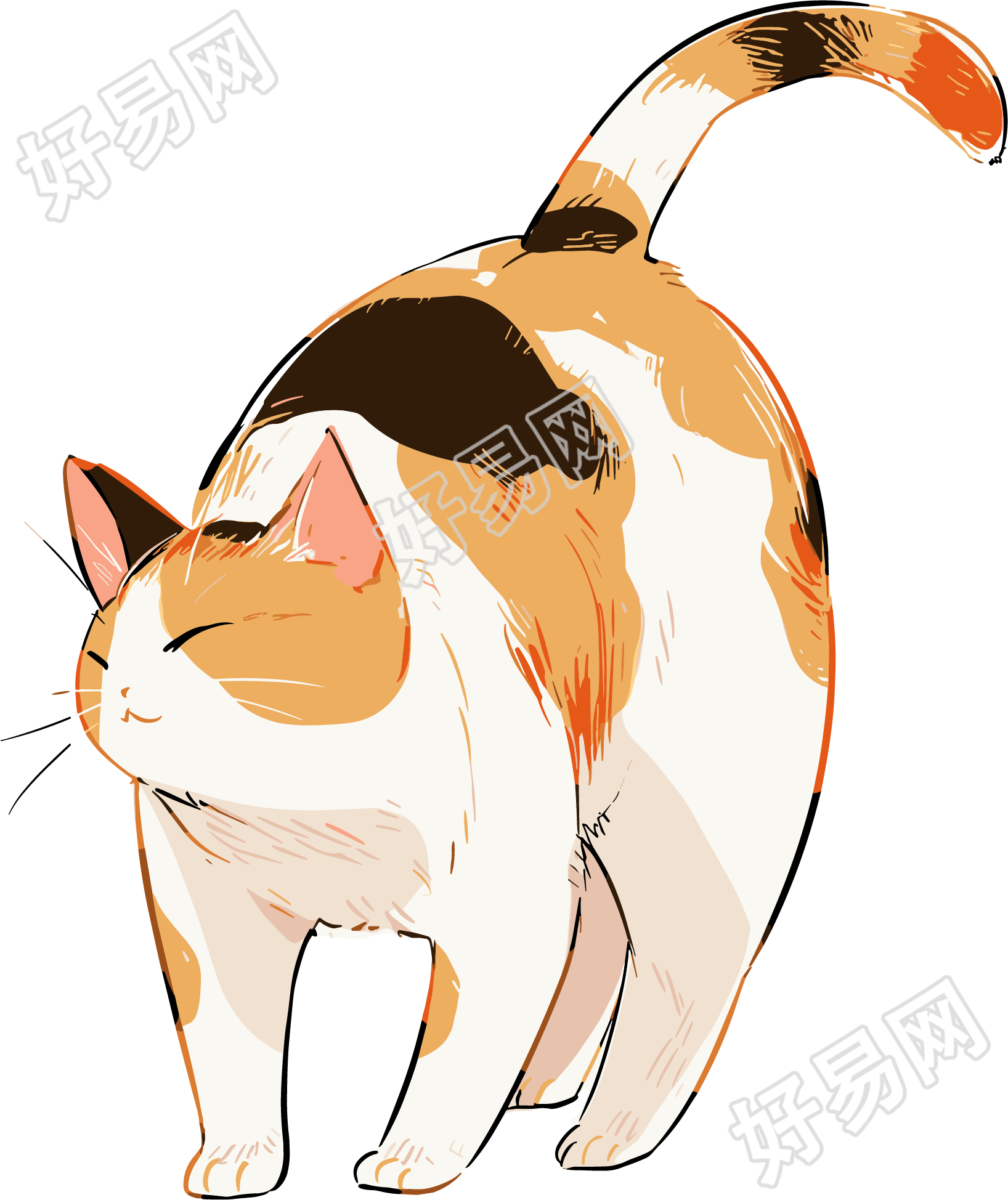 日系猫咪素材
