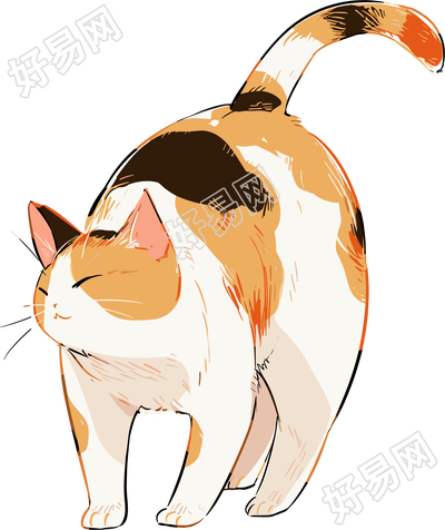 日系猫咪素材