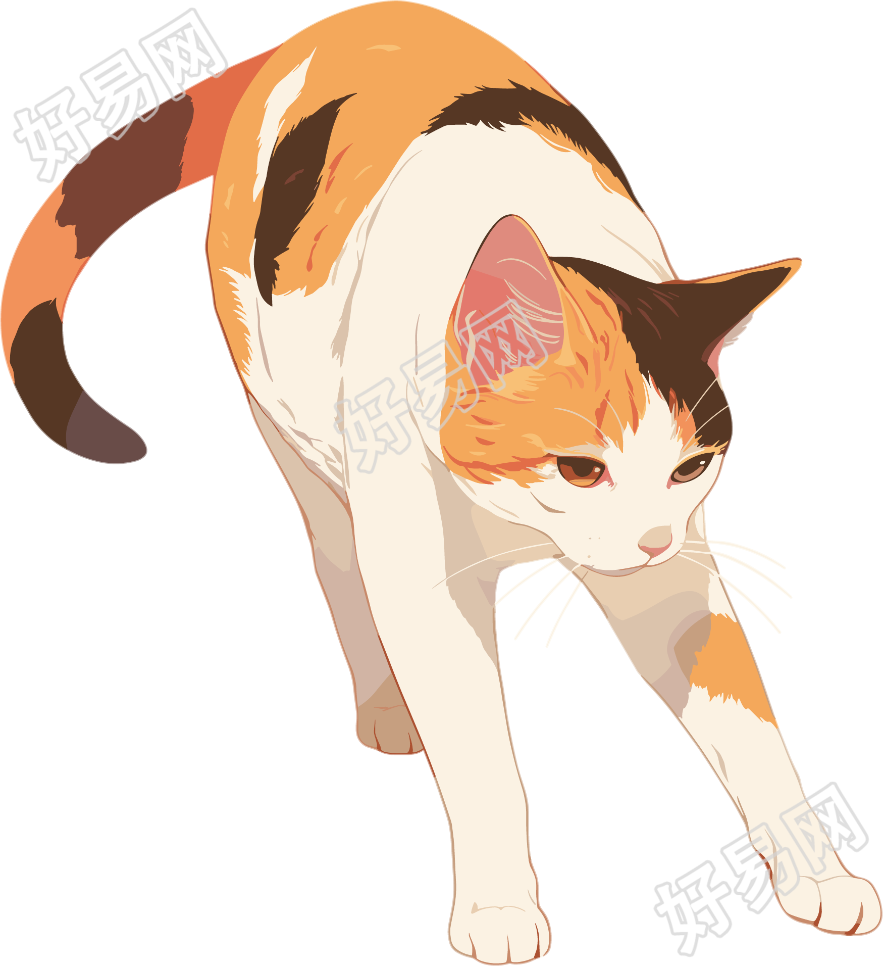 日系猫咪插图