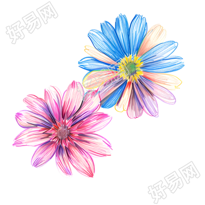 蜡笔画小花插图