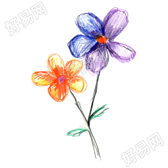 蜡笔画小花插画