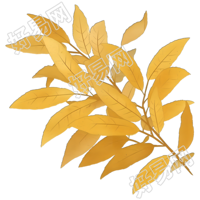 立秋树叶素材