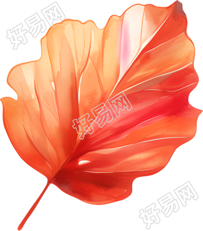 立秋树叶插图