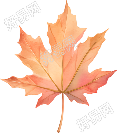 立秋枫叶可商用插图