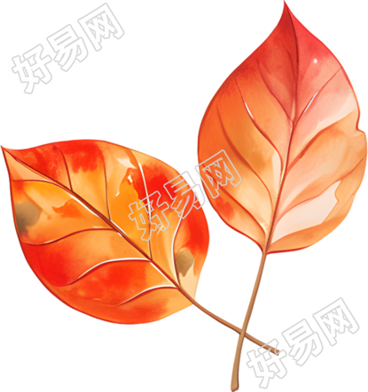立秋树叶高清插画