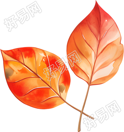 立秋树叶高清插画