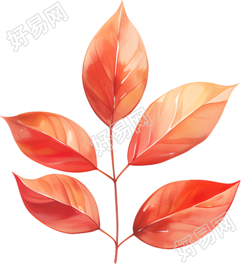 立秋树叶高清插图
