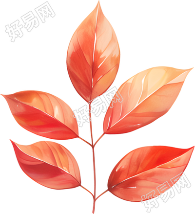 立秋树叶高清插图