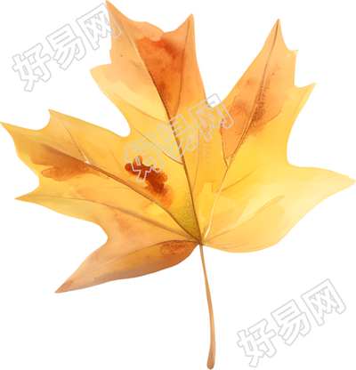 立秋枫叶唯美素材