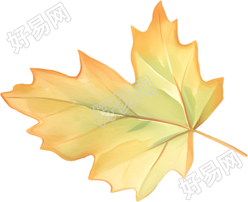 立秋枫叶商业设计素材