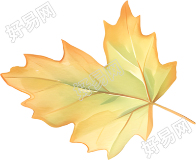 立秋枫叶商业设计素材