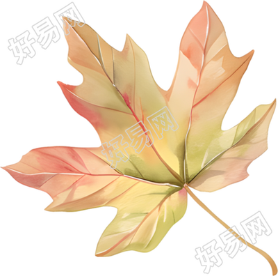 立秋枫叶商业设计插画