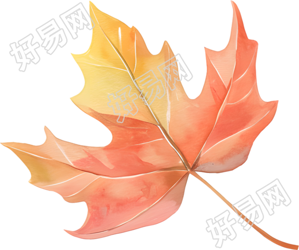 立秋枫叶商业设计插图