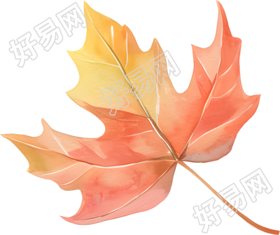 立秋枫叶商业设计插图