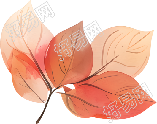 立秋树叶透明背景插图