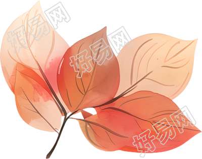 立秋树叶透明背景插图