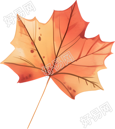 立秋枫叶极简插画