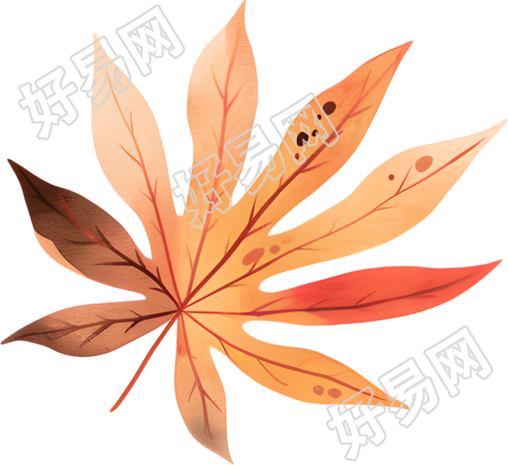 立秋树叶创意插画