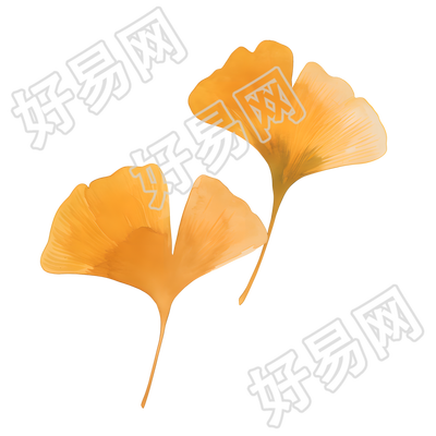 立秋银杏叶矢量素材