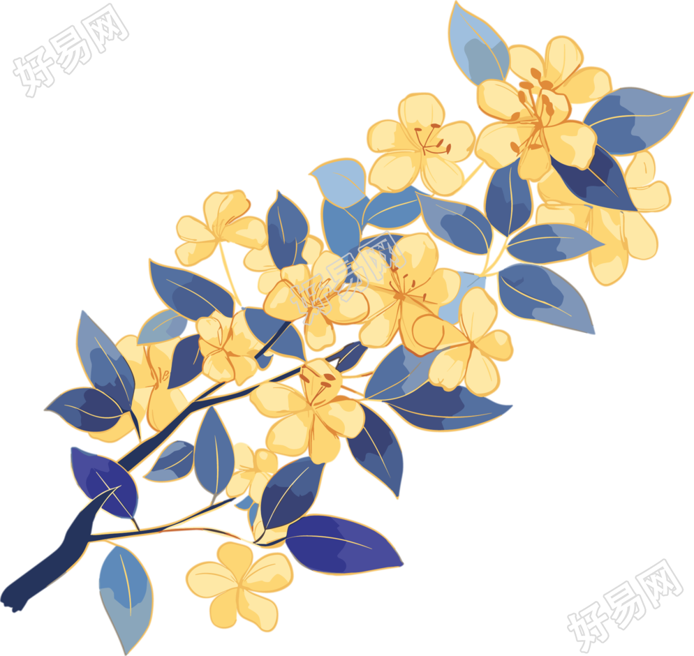 立秋桂花插画