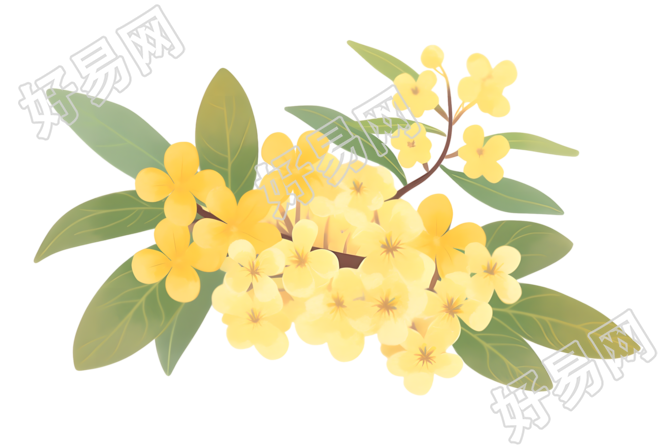 立秋桂花素材