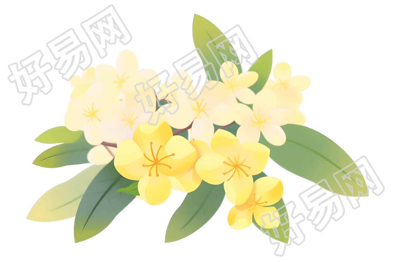 立秋桂花商业插画