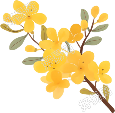 立秋桂花插画素材