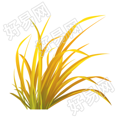 立秋芦苇插图