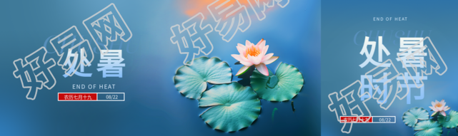 二十四节气处暑公众号封面图