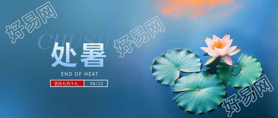 处暑时节荷花实景微信公众号首图