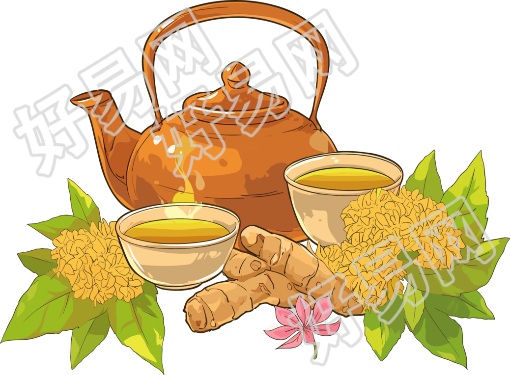药茶插图设计元素
