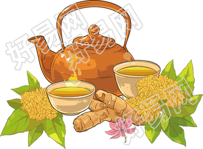药茶插图设计元素