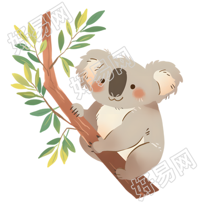 考拉卡通插图