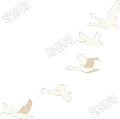 大雁简约扁平插画