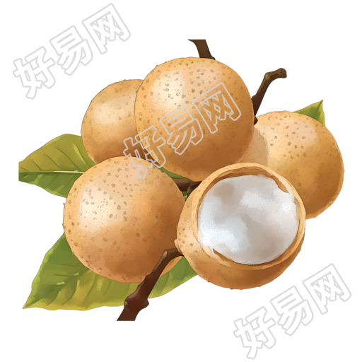 龙眼卡通矢量素材