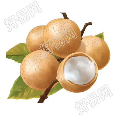 龙眼卡通矢量素材