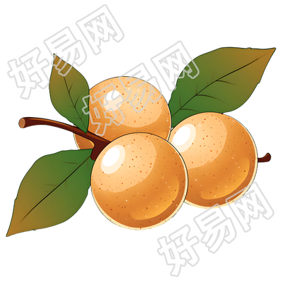 龙眼透明背景素材