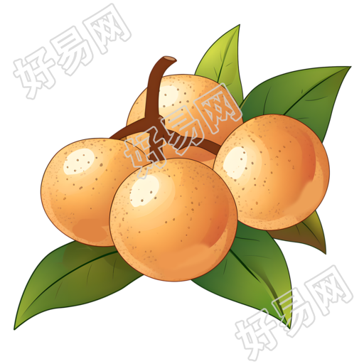 龙眼创意设计元素