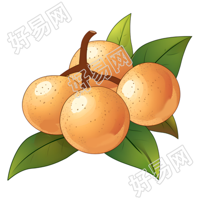 龙眼创意设计元素
