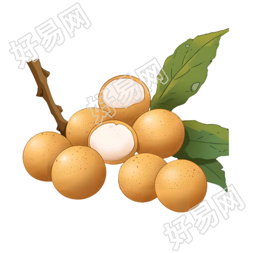 龙眼可商用素材