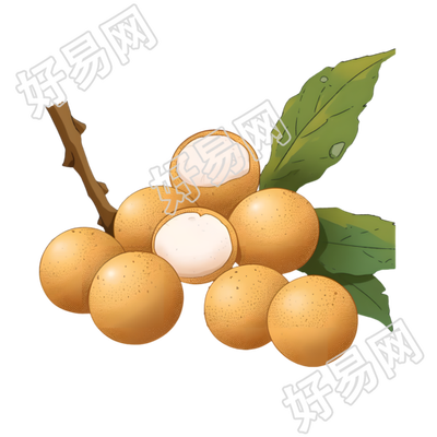 龙眼可商用素材