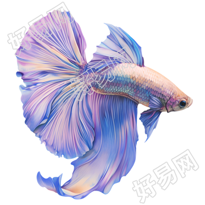鱼简约卡通元素