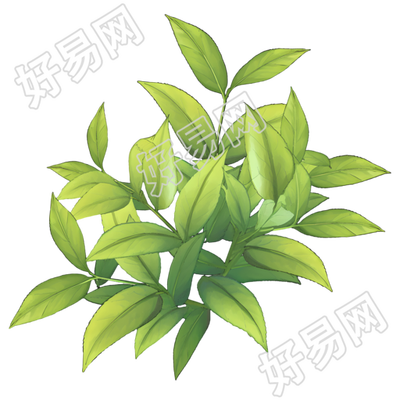 白露茶矢量素材