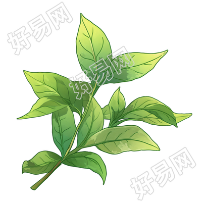 白露茶创意插画
