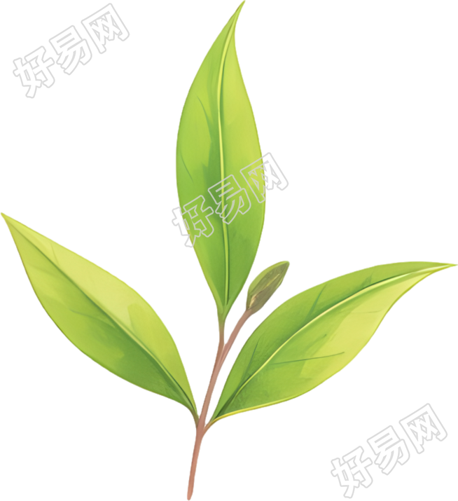 白露茶透明背景素材