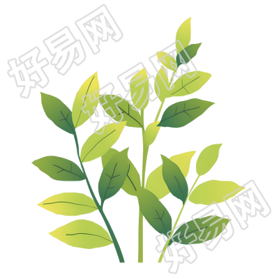 白露茶透明背景插图
