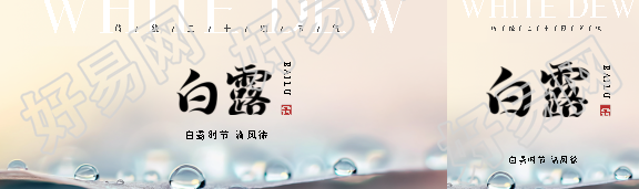 白露时节传统习俗公众号封面图
